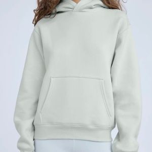Aritzia Cozy Fleece Perfect Hoodie